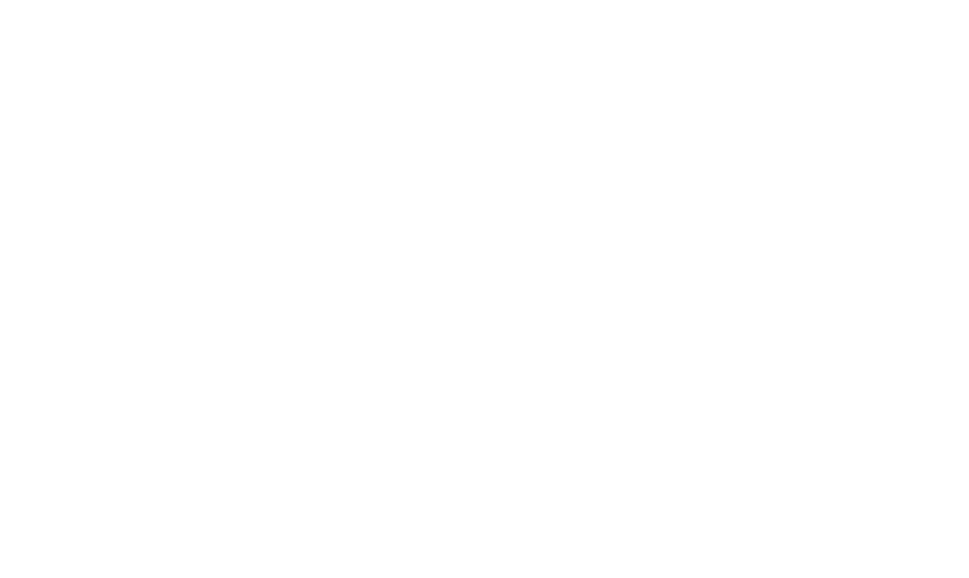 Transport Lito Logo